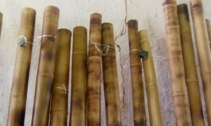 Img 20191218 124449