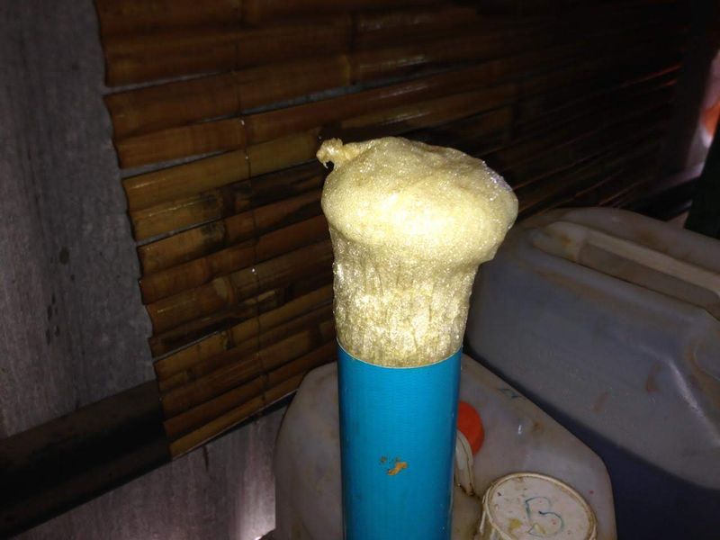 Img 20200107 wa0002