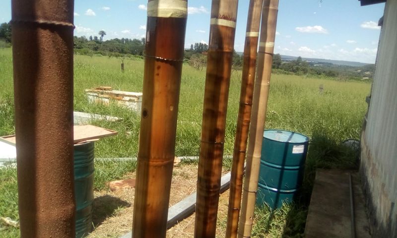 Img 20200112 135200